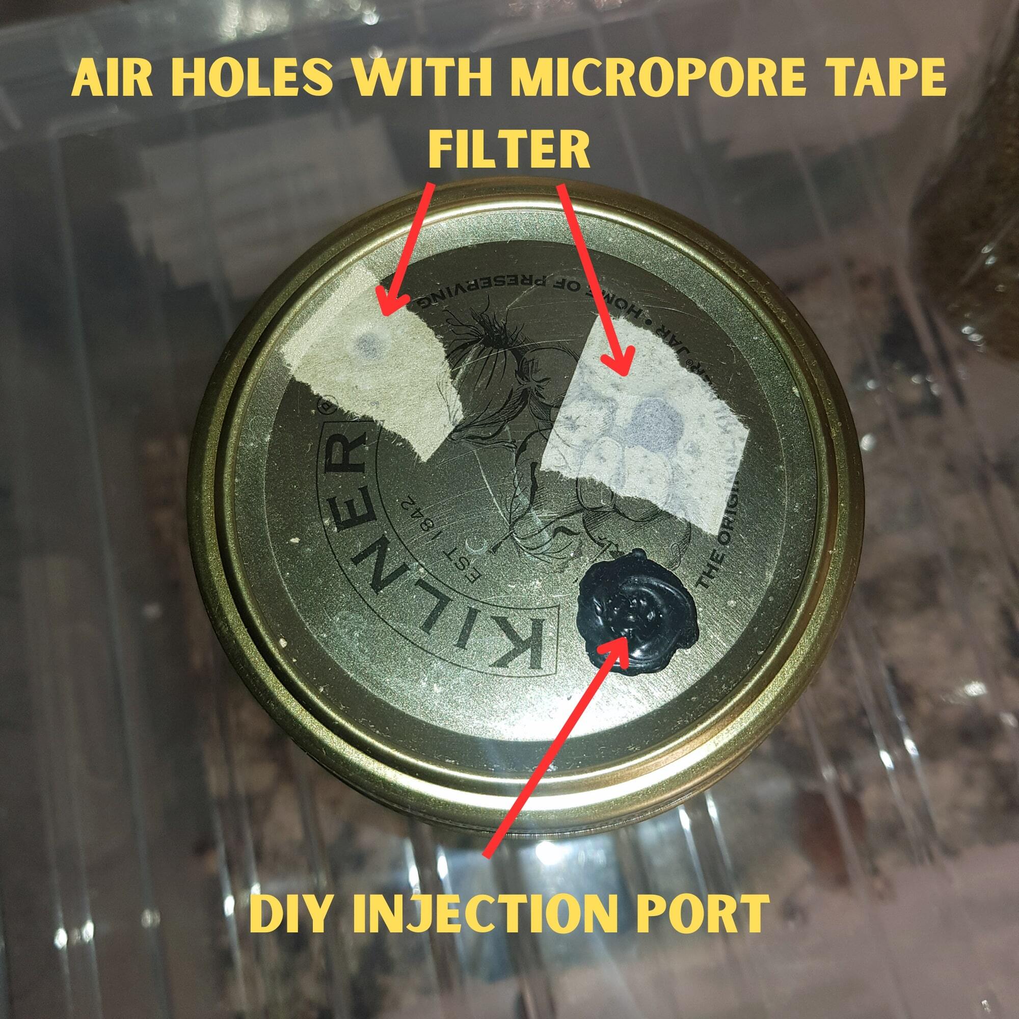 Example modified lid with DIY Self Healing Injection port and micropore filter 